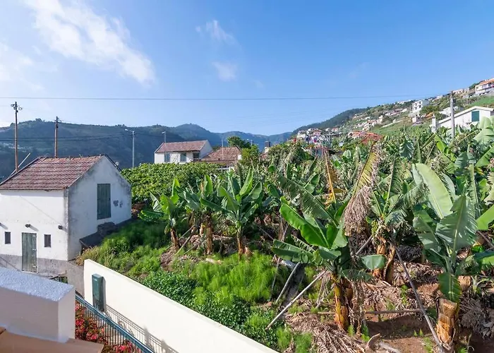 Apartment Branco's By Galmi Ponta do Sol (Madeira)